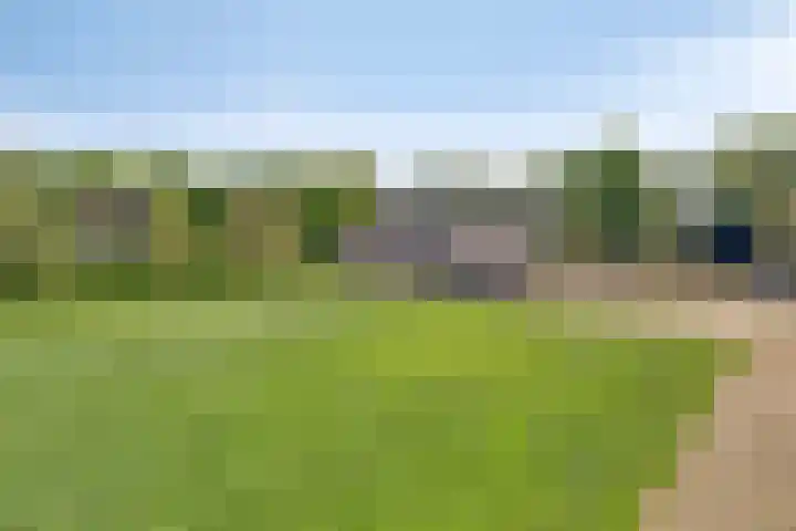 Zandstraat 45 Berlicum thumbnail 42