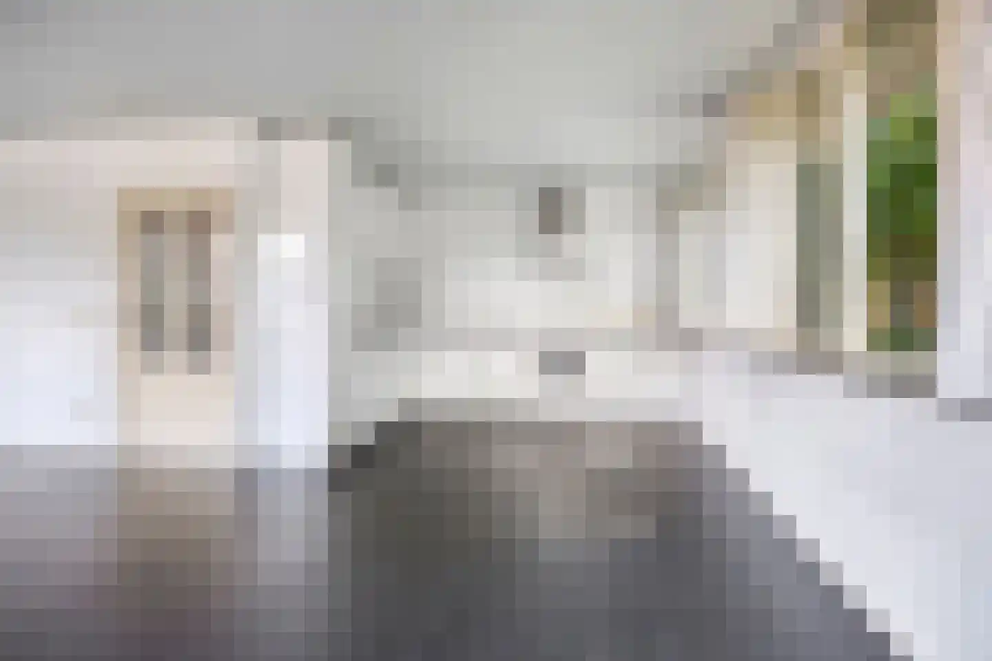 Zandstraat 45 Berlicum thumbnail 48
