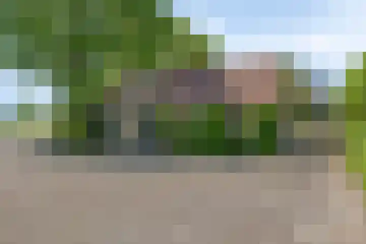 Zandstraat 45 Berlicum thumbnail 50