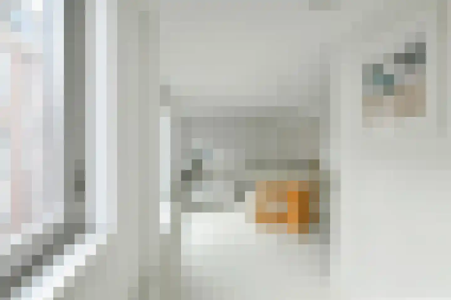 Zandstraat 5 D Amsterdam thumbnail 13