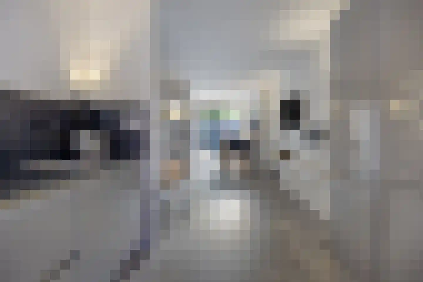 Zandstraat 5 Terneuzen thumbnail 11