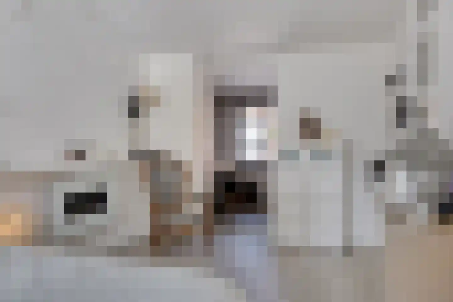 Zandstraat 5 Terneuzen thumbnail 20