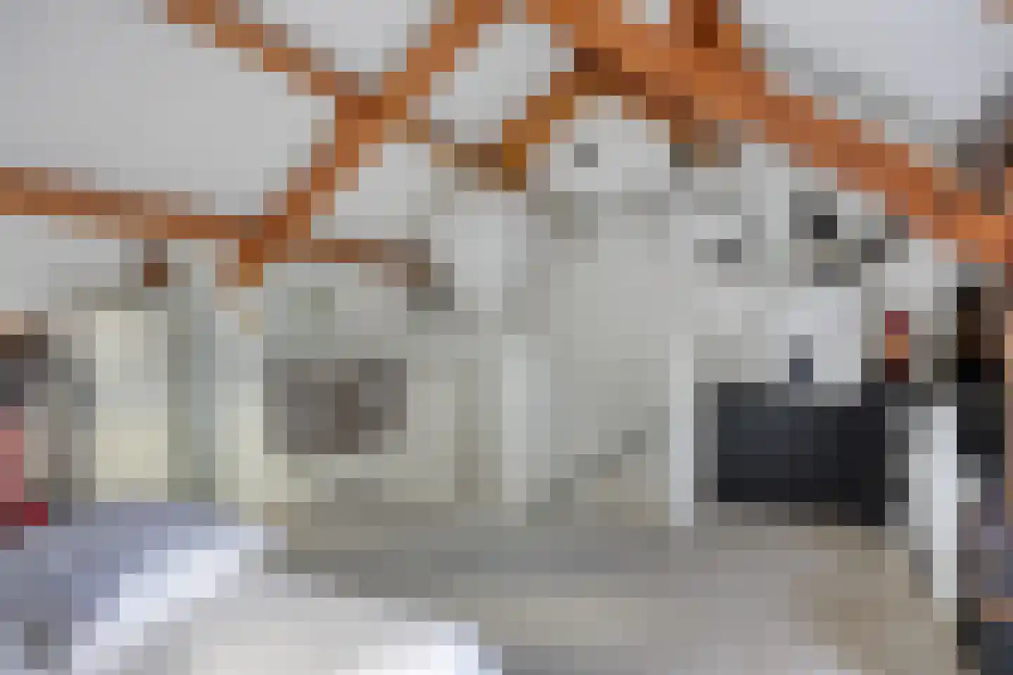 Zandstraat 5 Terneuzen thumbnail 24