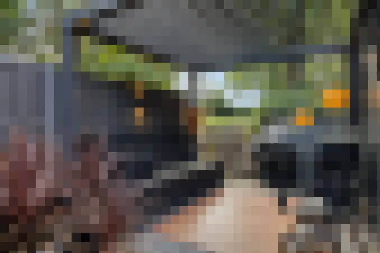 Zandstraat 5 Terneuzen thumbnail 27