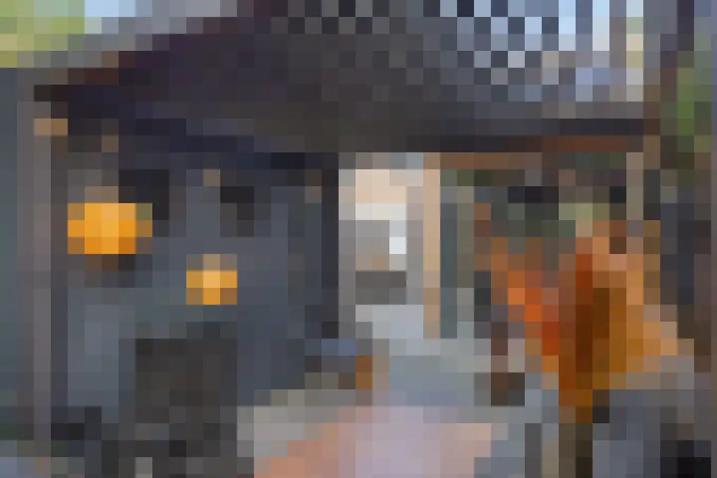 Zandstraat 5 Terneuzen thumbnail 28