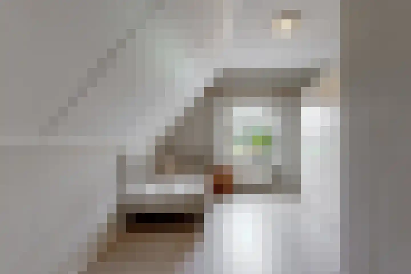 Zandstraat 5 Voorst thumbnail 21