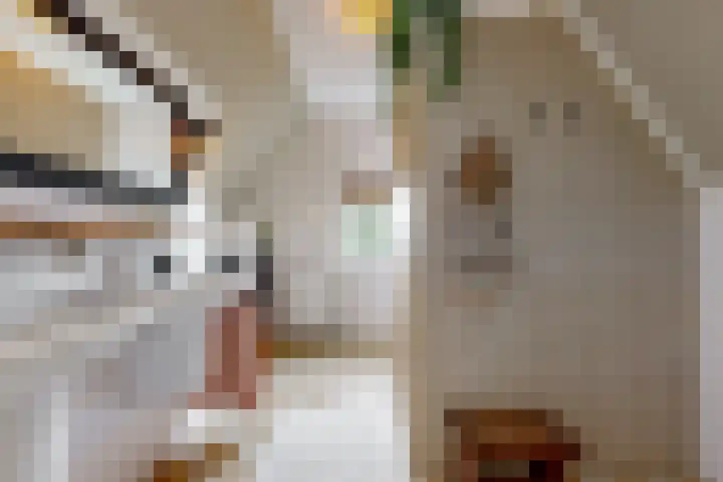 Zandstraat 5 Voorst thumbnail 25