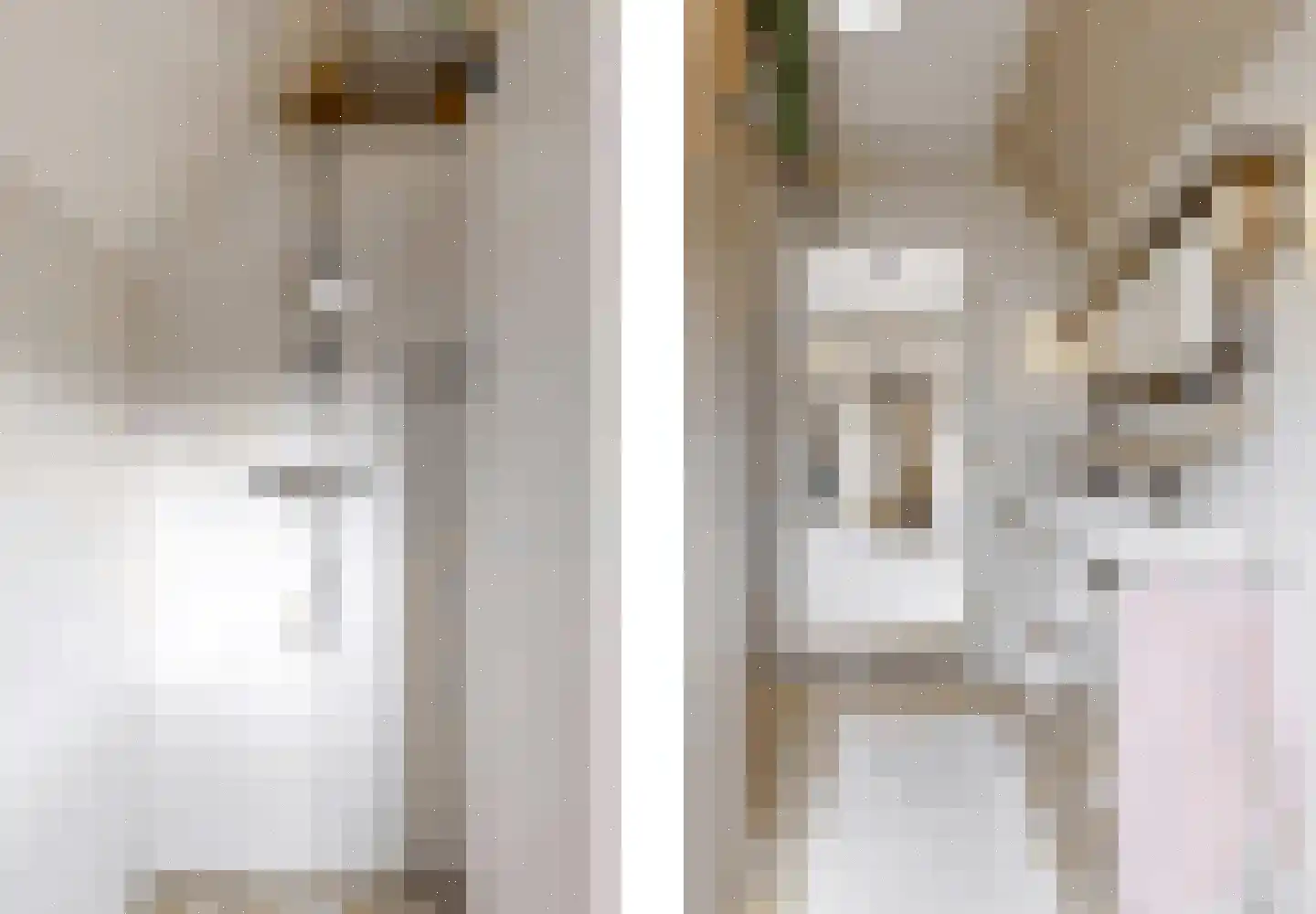 Zandstraat 5 Voorst thumbnail 27