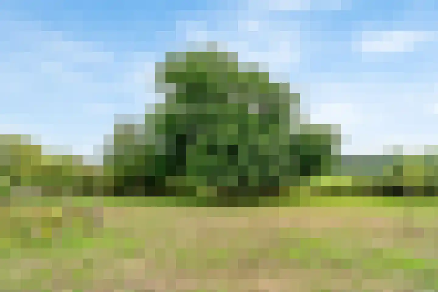 Zandstraat 5 Voorst thumbnail 45