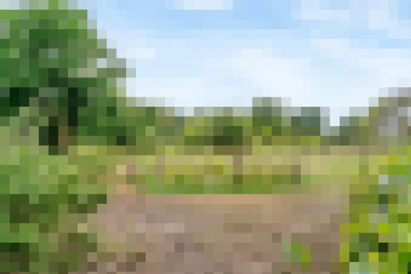 Zandstraat 5 Voorst thumbnail 46