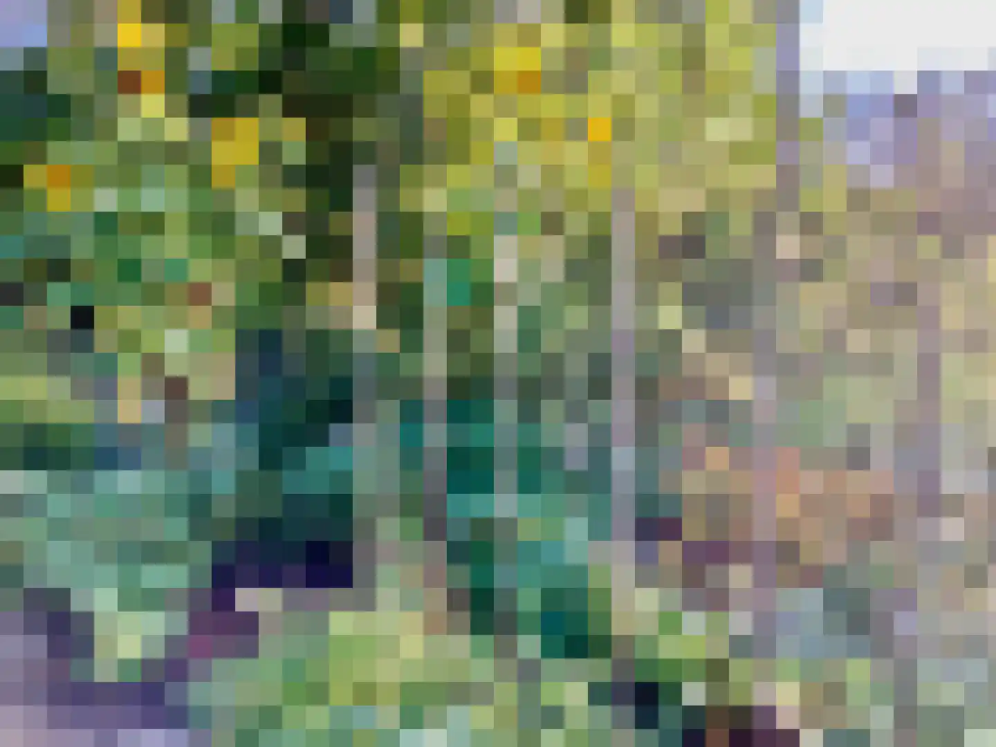 Zandstraat 5 Voorst thumbnail 49
