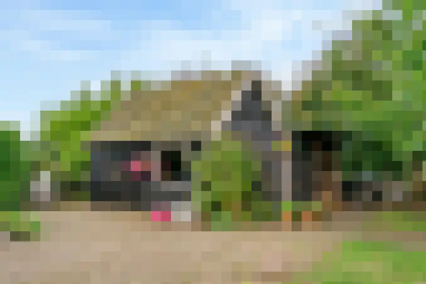 Zandstraat 5 Voorst thumbnail 51