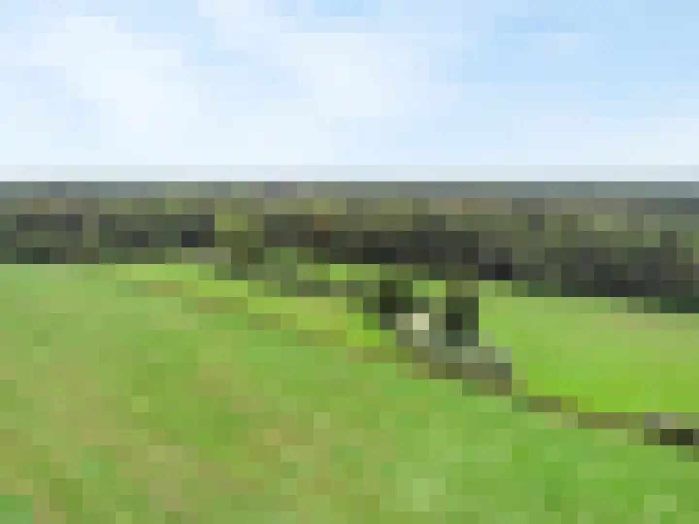 Zandstraat 5 Voorst thumbnail 58