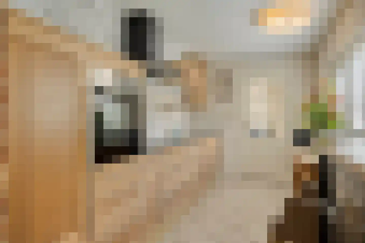 Zandstraat 62 Sas van Gent thumbnail 21