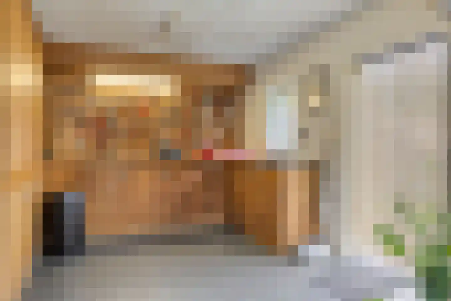 Zandstraat 62 Sas van Gent thumbnail 29