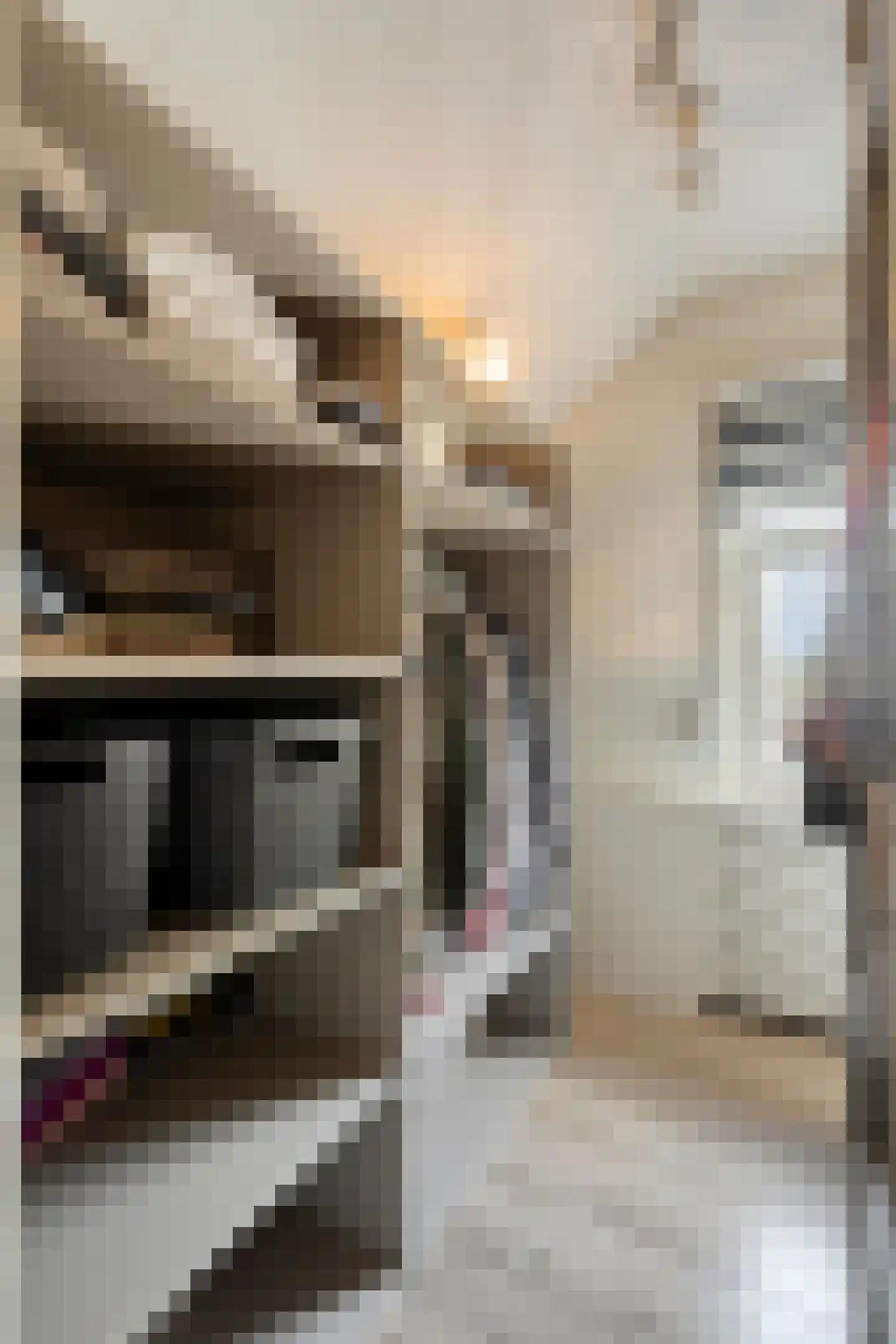 Zandstraat 62 Sas van Gent thumbnail 31