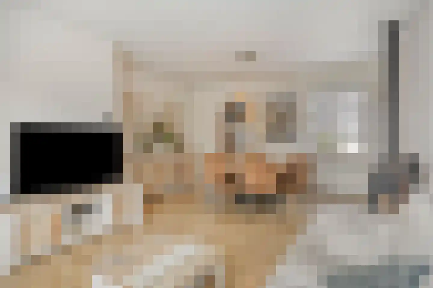 Zandstraat 62 Sas van Gent thumbnail 4