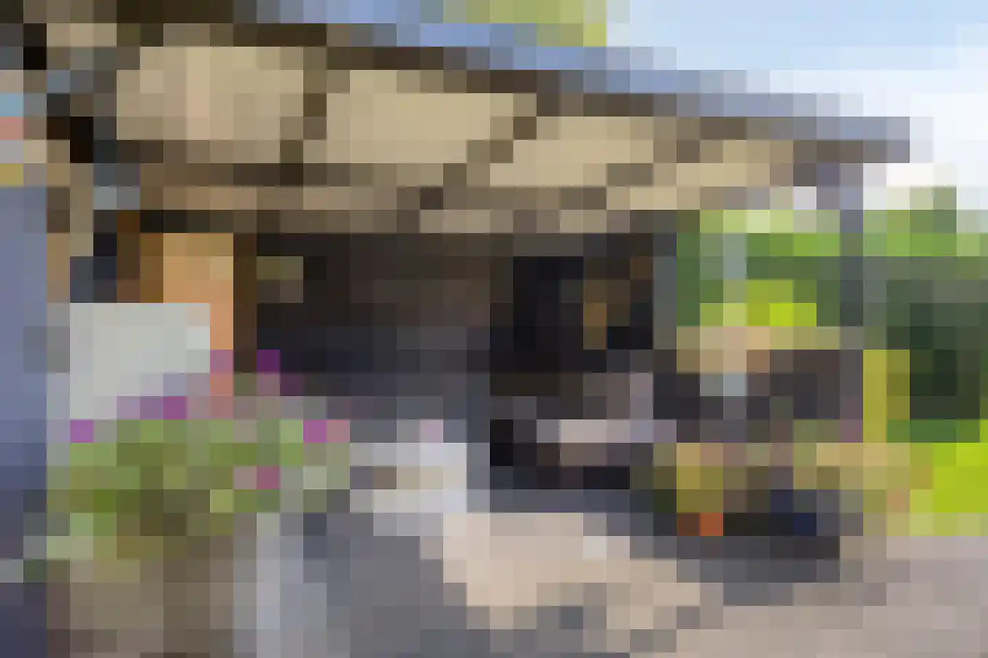 Zandstraat 62 Sas van Gent thumbnail 40