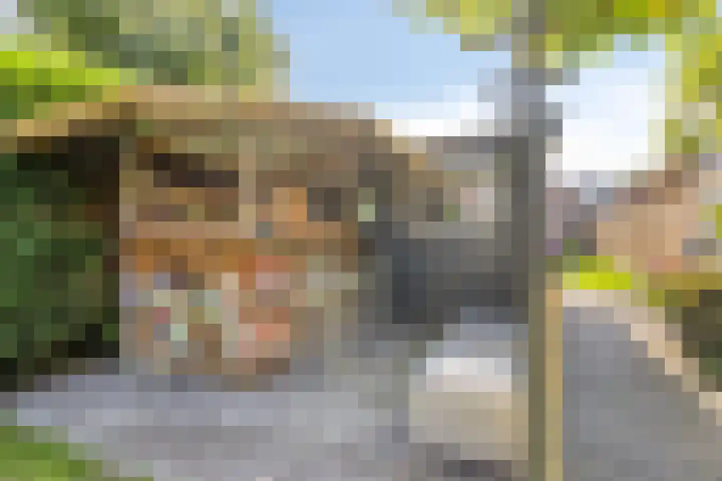 Zandstraat 62 Sas van Gent thumbnail 41