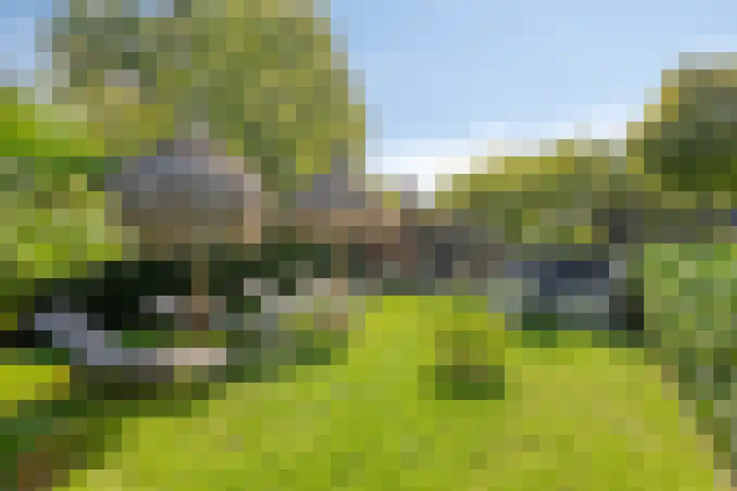 Zandstraat 62 Sas van Gent thumbnail 43