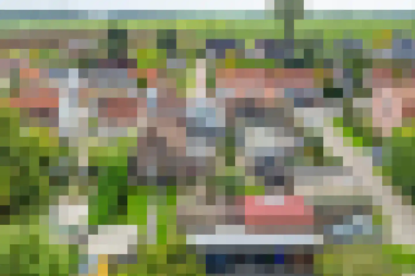 Zandstraat 62 Sas van Gent thumbnail 54