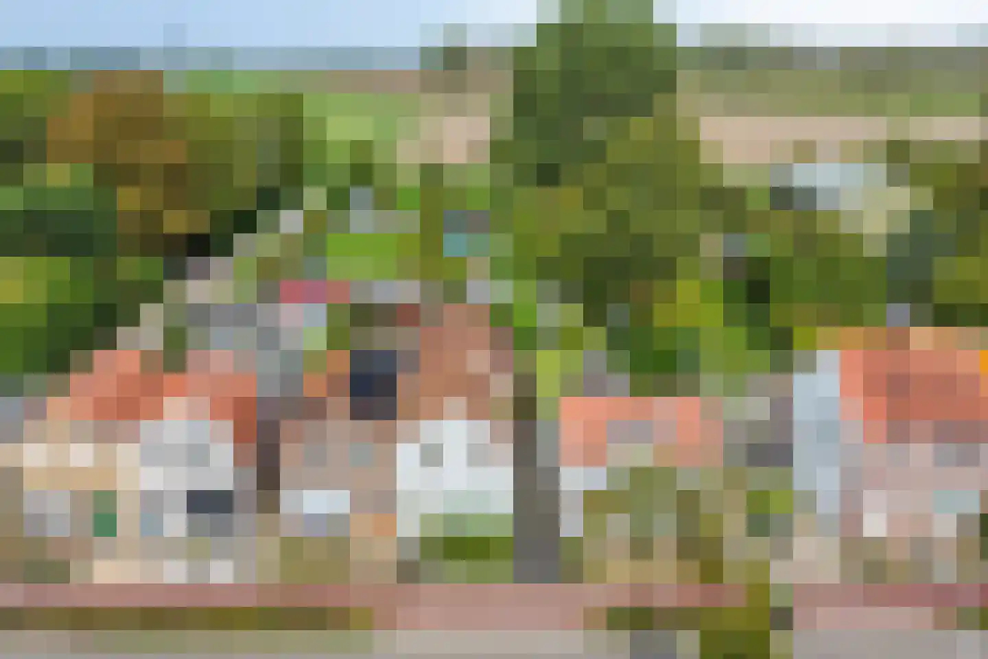 Zandstraat 62 Sas van Gent thumbnail 6