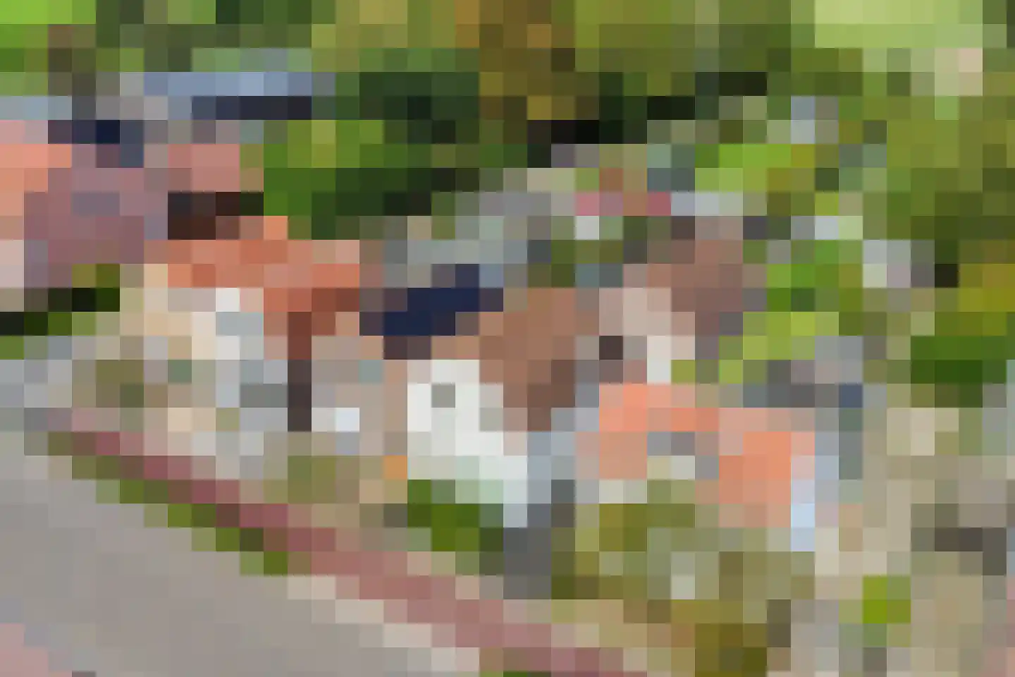 Zandstraat 62 Sas van Gent thumbnail 7