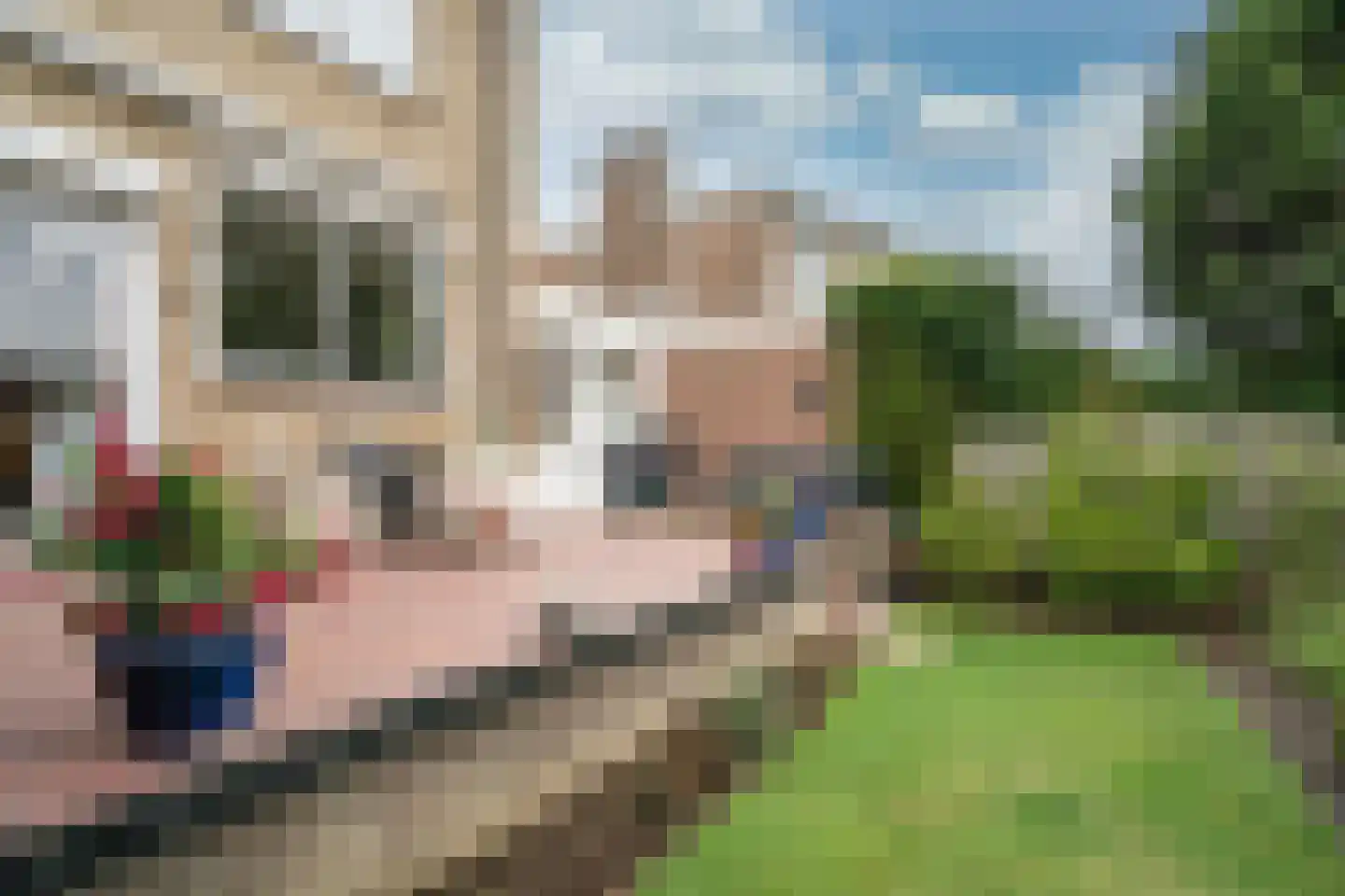Zandstraat 69 Spaubeek thumbnail 24