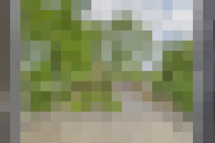 Zandstraat 7 Sas van Gent thumbnail 32