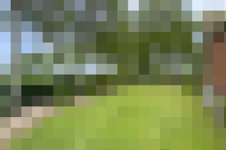 Zandstraat 7 Sas van Gent thumbnail 37