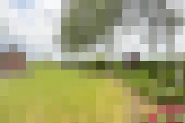 Zandstraat 7 Sas van Gent thumbnail 39