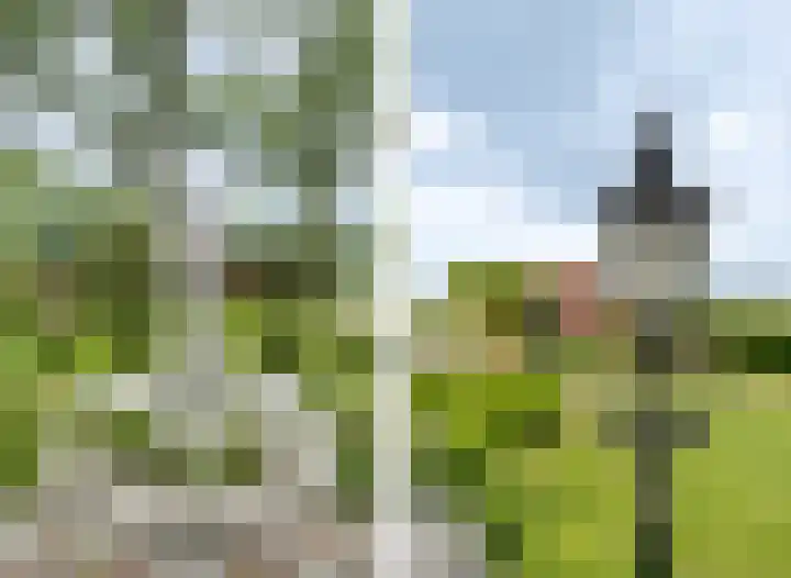 Zandstraat 7 Sas van Gent thumbnail 4