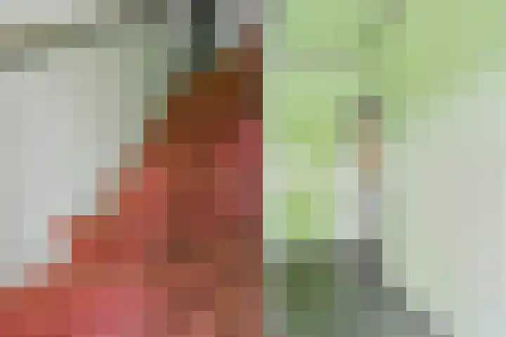 Zandstraat 7 Sas van Gent thumbnail 7