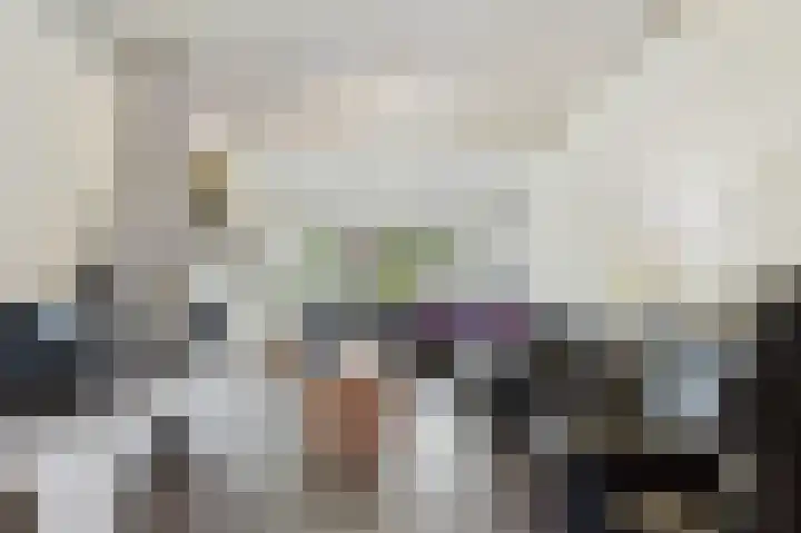 Zandstraat 7 Sas van Gent thumbnail 8