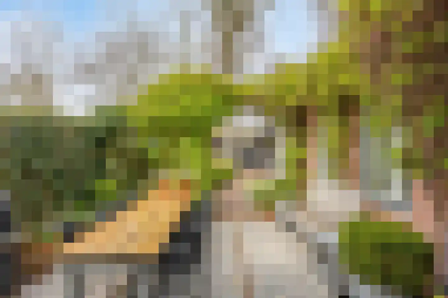 Zandstraat 79 Bergen op Zoom thumbnail 32