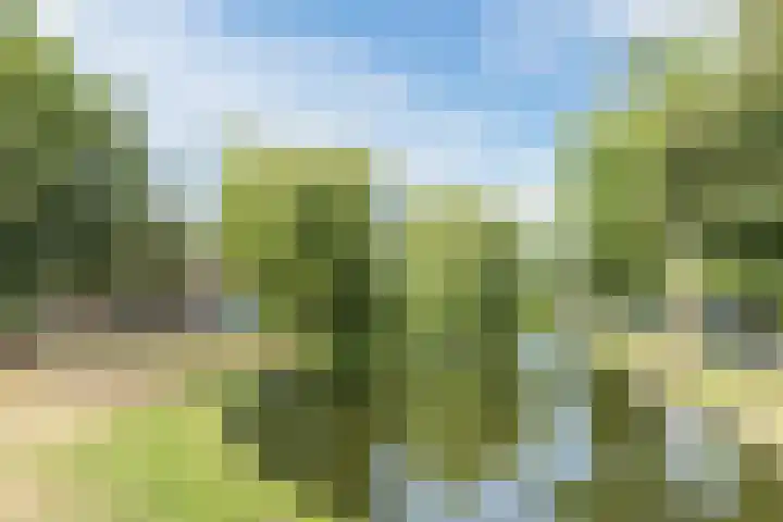 Zandstraat 79 c Culemborg thumbnail 4