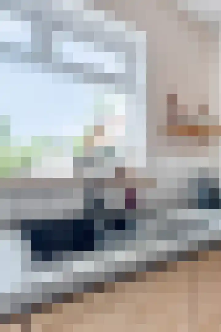 Zandstraat 79 Sas van Gent thumbnail 17