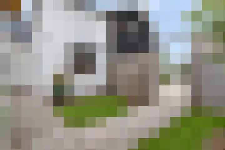 Zandstraat 79 Sas van Gent thumbnail 37