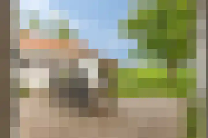 Zandstraat 79 Sas van Gent thumbnail 38