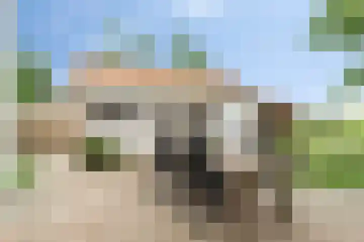Zandstraat 79 Sas van Gent thumbnail 39
