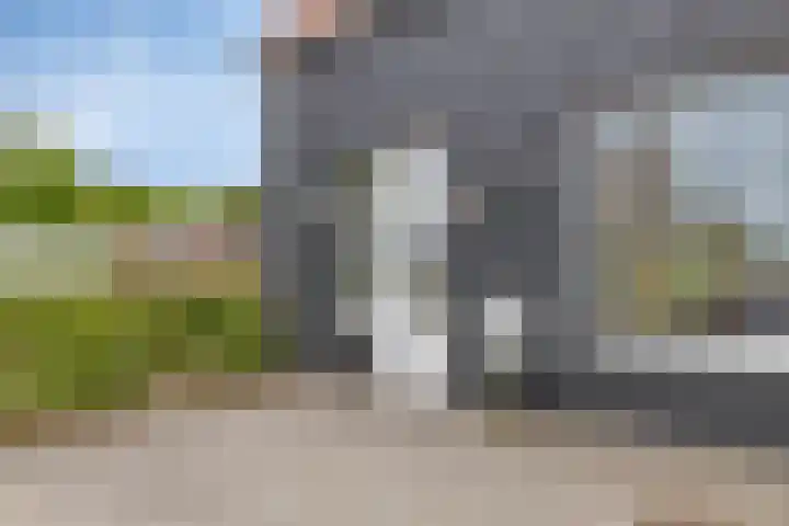 Zandstraat 79 Sas van Gent thumbnail 4