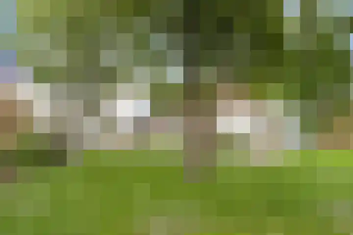 Zandstraat 79 Sas van Gent thumbnail 42