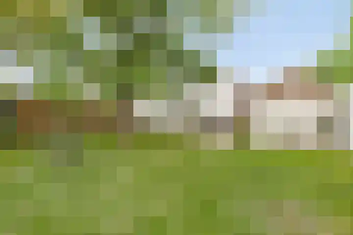 Zandstraat 79 Sas van Gent thumbnail 44