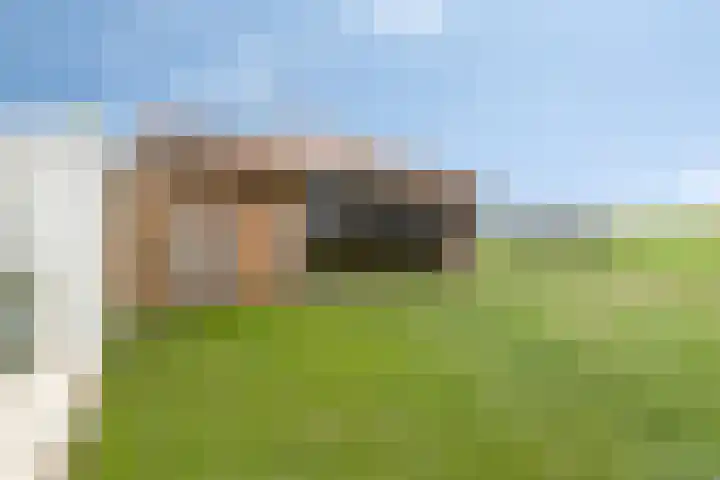 Zandstraat 79 Sas van Gent thumbnail 46