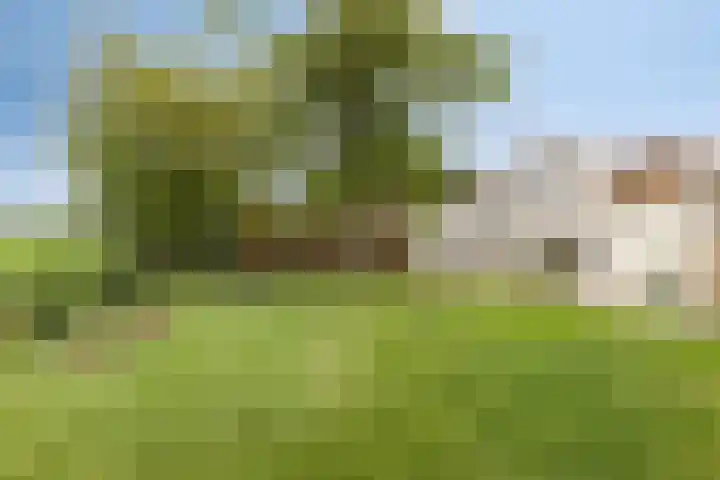 Zandstraat 79 Sas van Gent thumbnail 47