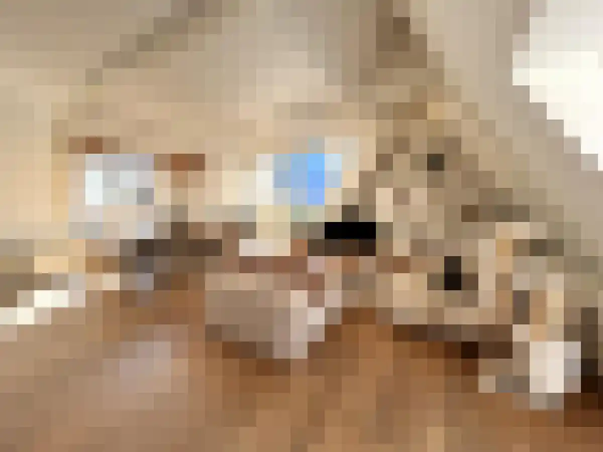 Zandstraat 8 Amsterdam thumbnail 4