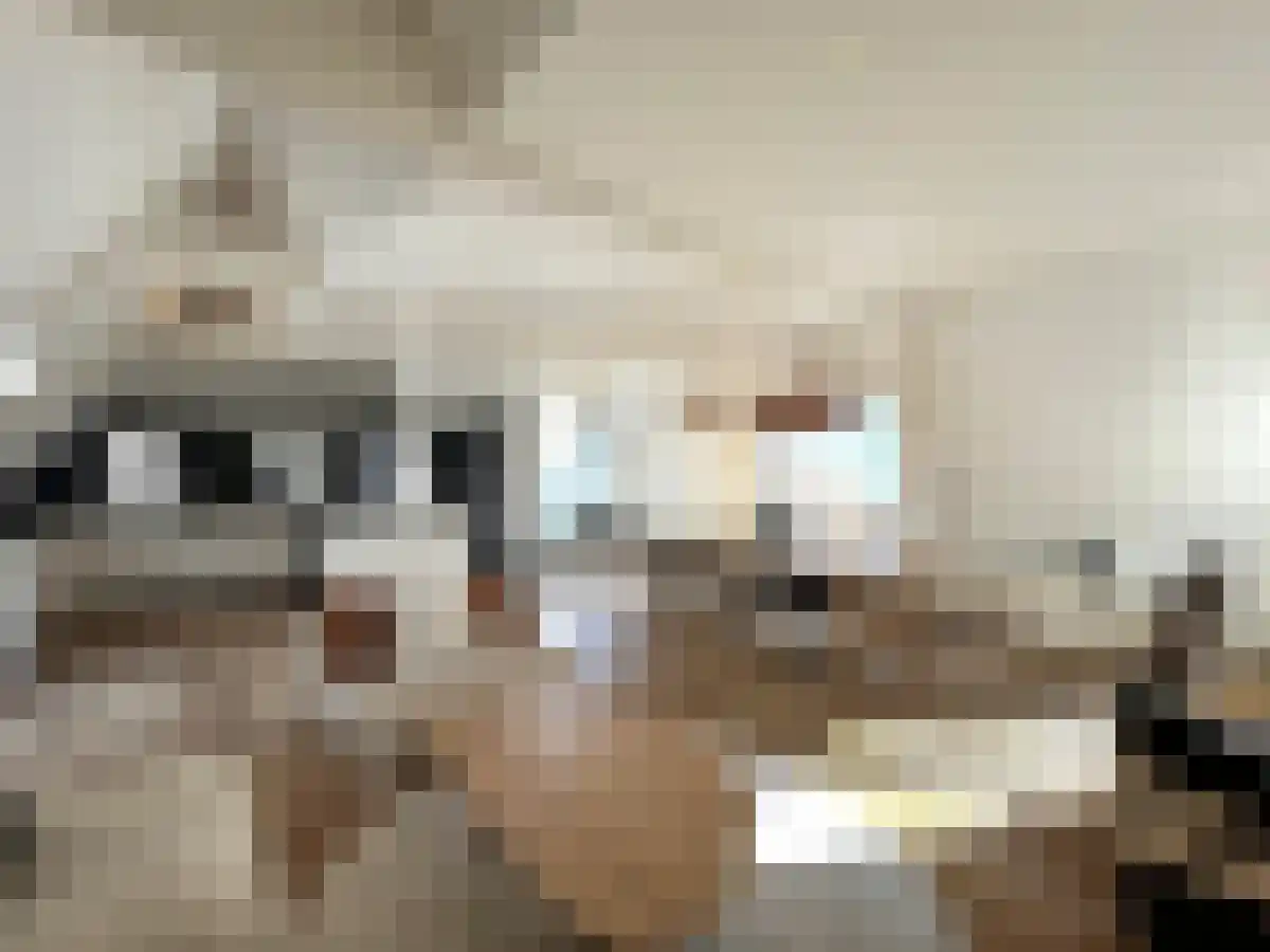 Zandstraat 8 Amsterdam thumbnail 5
