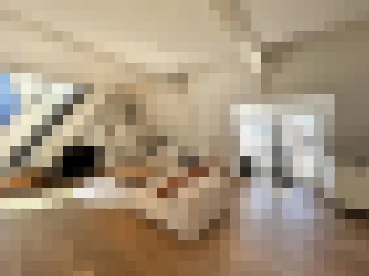Zandstraat 8 Amsterdam thumbnail 6