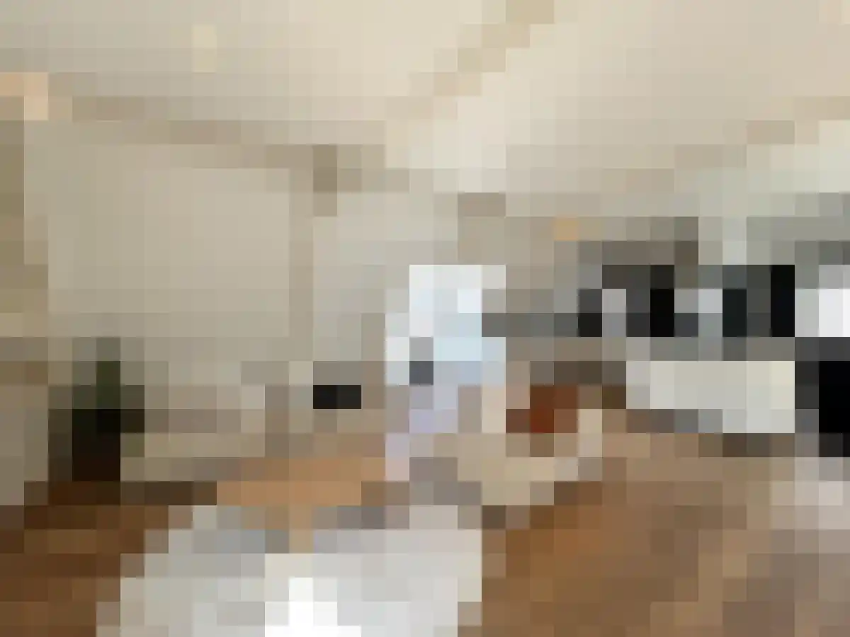 Zandstraat 8 Amsterdam thumbnail 6