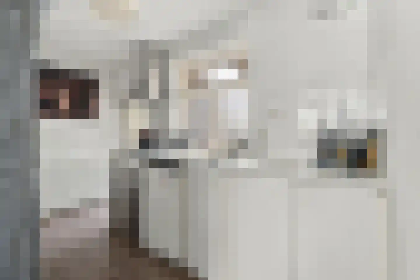 Zandstraat 8 Middelburg thumbnail 5
